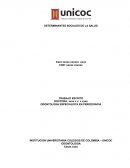 Determinantes Sociales en Salud, Condiciones de vida y laborales