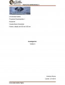 Proyectos Empresariales 1 Roosevelt