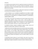 La gastronomia mexicana como patrimonio de la humanidad