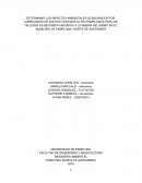 DETERMINAR LOS IMPACTOS AMBIENTALES