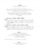 Amnesia: El proyecto que borra la identidad