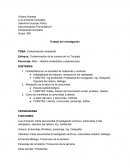 TEMA: Contaminación Ambiental