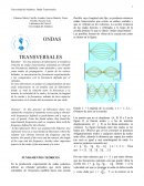 ONDAS TRANSVERSALES