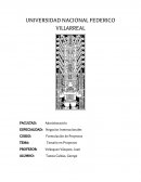 Tamaño en Proyectos