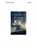 Título: Colmillo Blanco Autor: Jack London