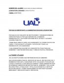 Por que es importante la administracion en mi licenciatura