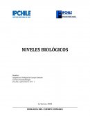 Asignatura: Biología del cuerpo humano