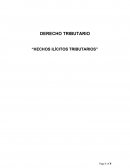 Hechos ilícitos tributarios