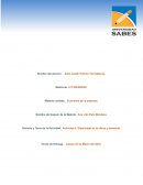 Actividad 5. Elasticidad de la oferta y demanda.