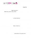 Actividad Trabajo Final. Taller: Planear, Organizar, Dirigir, Controlar