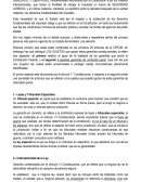 GARANTIAS CONSTITUCIONALES DEL PROCEDIMIENTO PENAL