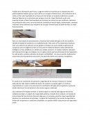 Análisis de la información ptar Funza