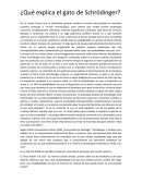 ¿Qué explica el gato de Schrödinger?