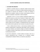 Accion de Amparo Legislacion Comparada