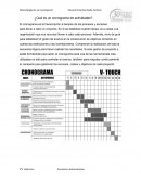 ¿Qué es un cronograma de actividades?