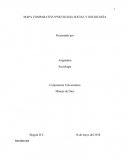 MAPA COMPARATIVO PSICOLOGIA SOCIAL Y SOCIOLOGÍA