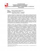 La Organización Híbrida – Los Modelos Mixtos – Las Estructuras Transnacionales