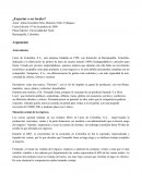 ¿Exportar o ser locales?