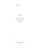 PORTAFOLIO EVIDENCIAS, GCT CHICKEN