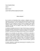 Medio ambiente. Es el conjunto de componentes físicos