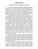 Posturas económicas en Argentina. La socióloga Marta Novick