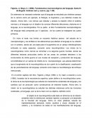 Fundamentos neurosicológicos del lenguaje