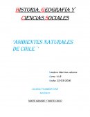 Ciencias Sociales ’AMBIENTES NATURALES DE CHILE´’