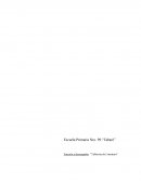 Escuela Primaria Nro. 99 “Tabaré” Función a desempeñar: “Tallerista de Literatura”