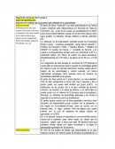 Diagnóstico del grupo del 2° grupo C