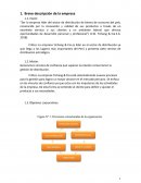 Análisis de empresa Yichang