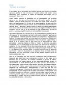 Ensayo “La Erosión del yo Integral”