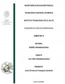 Ensayo, cultura organizacional