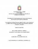 ANÁLISIS DE LOS PROCESOS DE TRIBUTACIÓN Y FISCALIDAD EN LA DIRECCIÓN GENERAL DE IMPUETOS INTERNOS, DISTRITO NACIONAL. 2016-2017