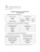 QUIMICA Y FARMACIA INFORME DE PRÁCTICA PROFESIONAL (UNIVERSIDAD)