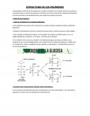 ESTRUCTURA DE LOS POLÍMEROS