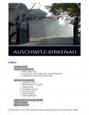 Auschwitz. CAMPOS DE CONCENTRACIÓN NAZI