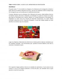 TEMA: INFORME SOBRE LA VISITA A LOS LABORATORIOS DE INVESTIGACIÓN. Página 1