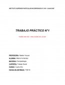 Psicopatologia. TRABAJO PRÁCTICO N°1 “HABÍA UNA VEZ – UNA CIUDAD DE LOCOS”