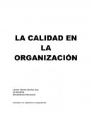 LA CALIDAD EN LA ORGANIZACIÓN