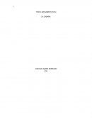 Texto argumentativo acerca de la película la cabaña