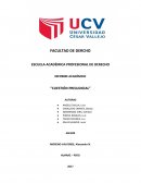 INFORME ACADÉMICO “CUESTIÓN PREJUDICIAL”