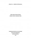 PRODUCTO 2 – COMERCIO INTERNACIONAL