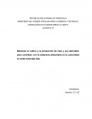 Mantener el cultivo y la producción de maíz y sus derivados para contribuir con la soberanía alimentaria en la comunidad la varita municipio Zea.