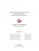 Práctica N1 Ingeniería y Gestión Ambiental