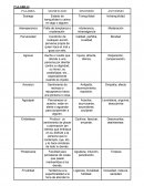 Edgar Allan Poe. El gato negro