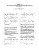 Pararrayos. El objetivó de este trabajo es brindar información sobre el fenómeno natural conocido como rayo