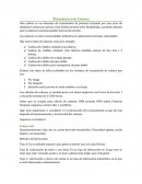 Transmisión por cadenas