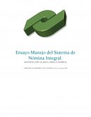 Ensayo Manejo del Sistema de Nómina Integral
