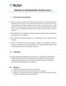 PROYECTO INTEGRADOR TECSUP 2018-1