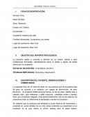 INFORME PSICOLÓGICO - PELÍCULA CISNE NEGRO -